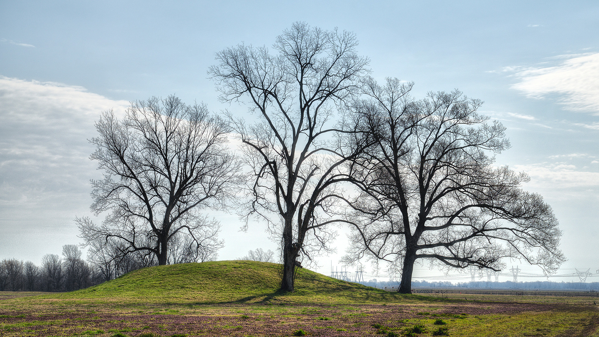 Burial Mound – Toltec State Park