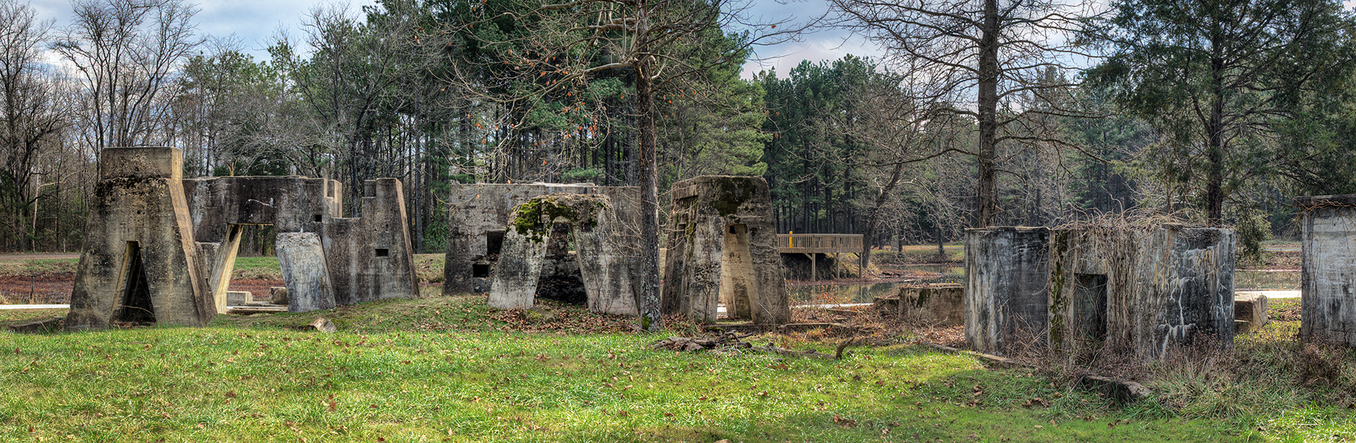 Forester’s Stonehenge