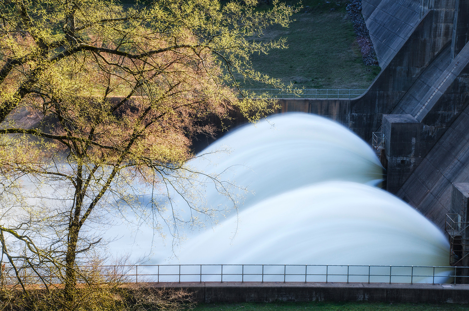 Spring Rush – Nimrod Dam